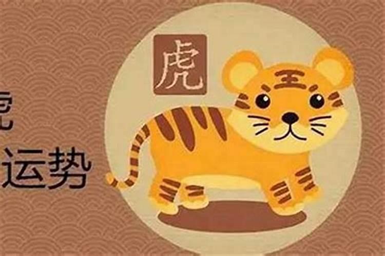 梦见猫一直追我