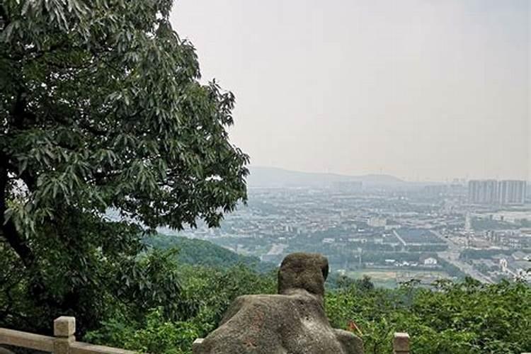 梦见我吃鸡头啥意思