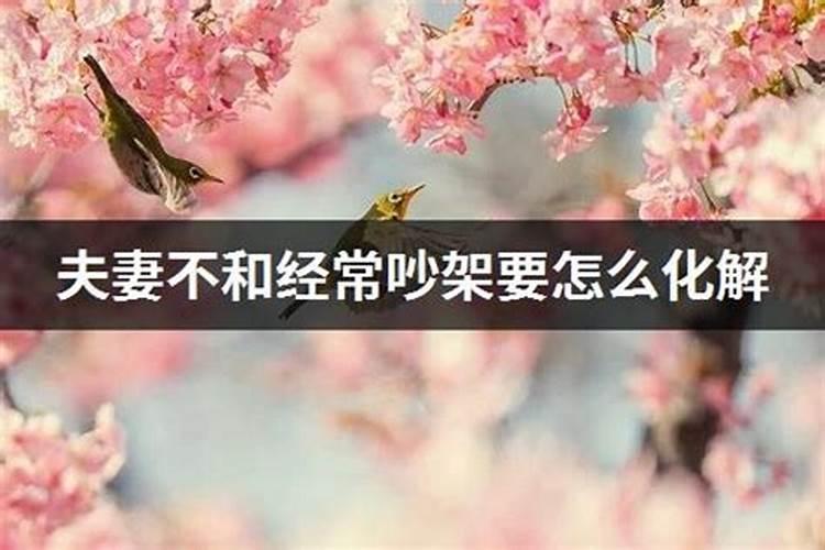 夫妻感情不好怎么化解风水