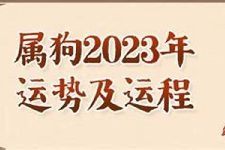 94属狗人2023年运势运程每月运程