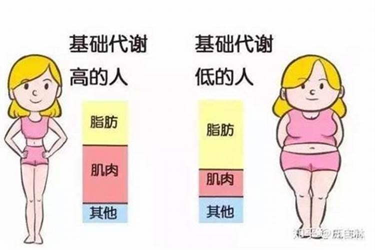 梦见乌龟是什么意思周公解梦女人生孩子