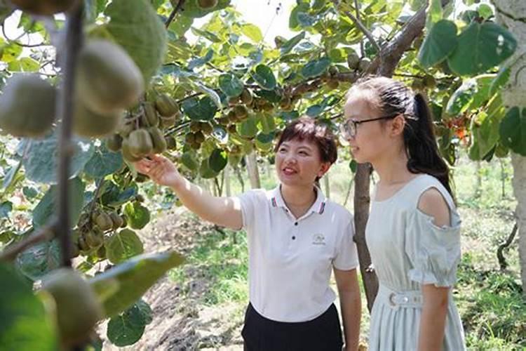 梦到别人出车祸死了人是什么意思啊