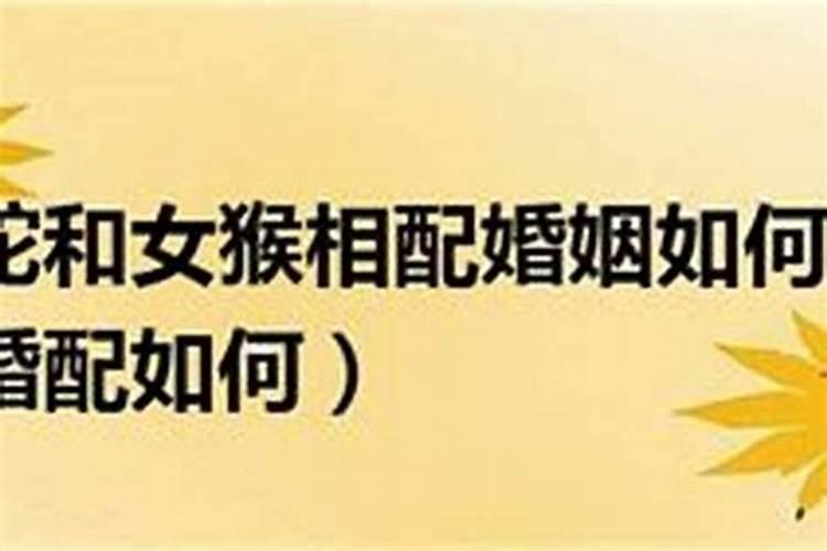 黄道吉日2020年6月份黄道吉日查询搬家