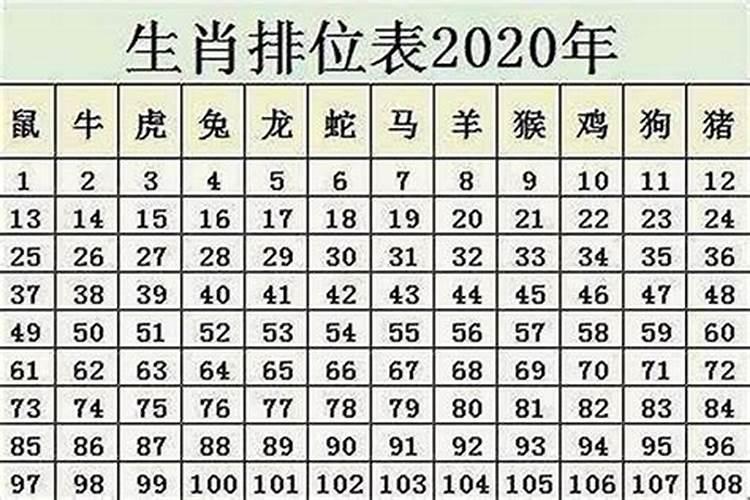 属鼠的70多具体多大