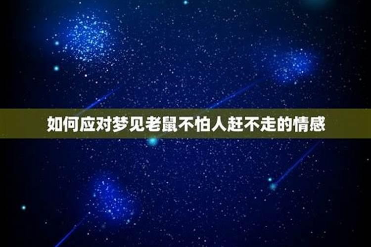 农历4月20日到底是哪个星座