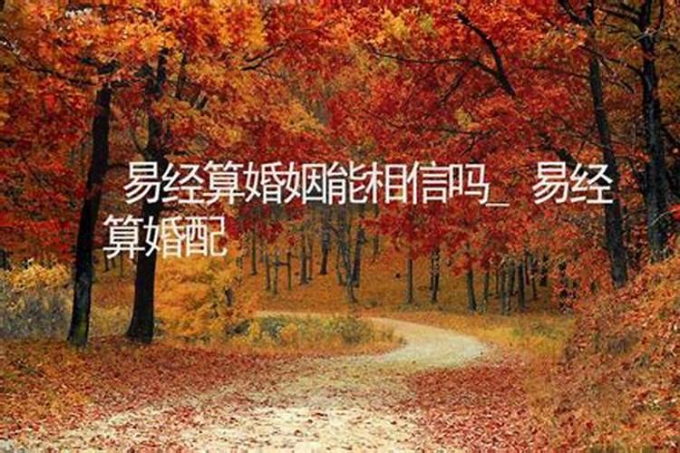 梦见大树是什么意思,好不好,代表什么生肖