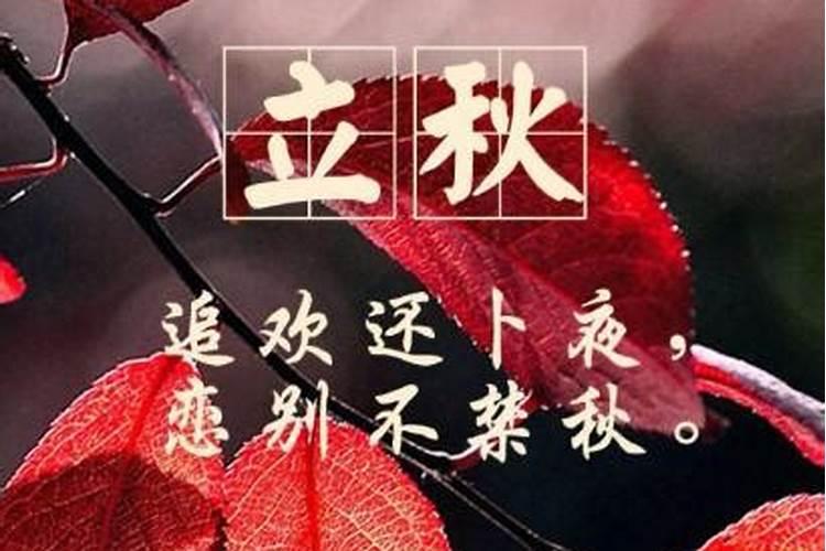 属鸡的今年适合穿什么颜色