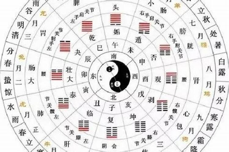 木星哪个星座好