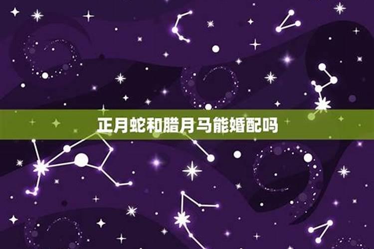 美肖是指哪几个生肖2022年的