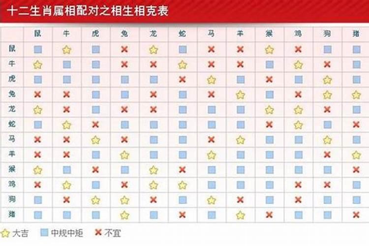 40年属什么生肖多少岁