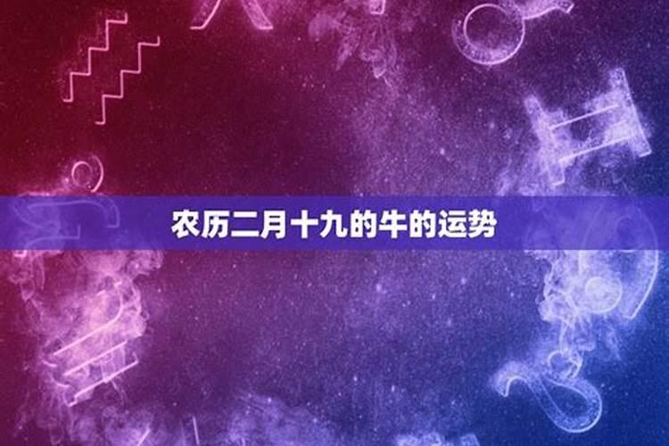 正月出生的小女孩是什么星座的人呢