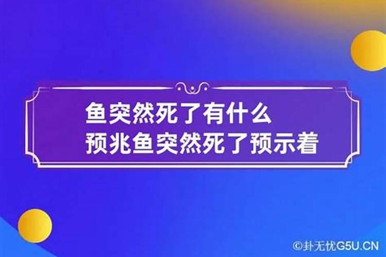 梦到鱼死了预示着什么