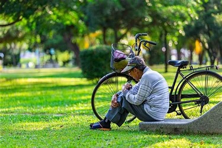 梦到了死鱼是什么意思