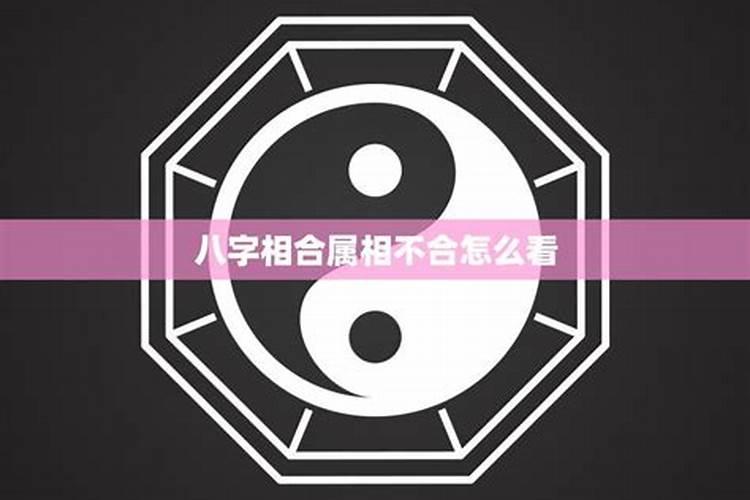 做梦梦到老人死了