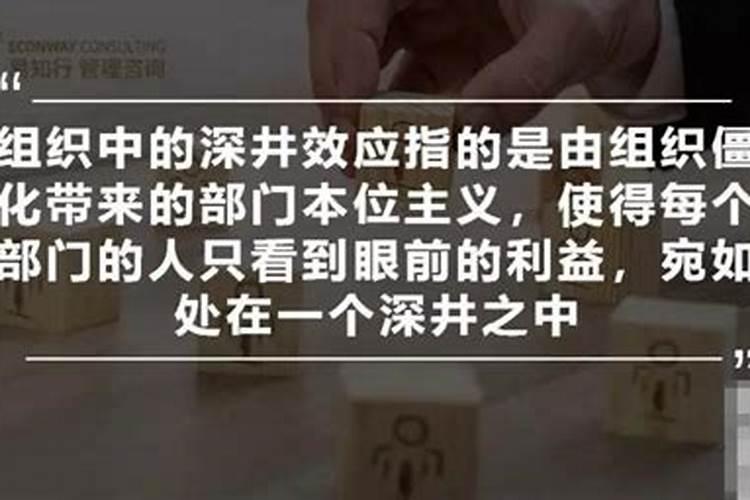 生肖属龙的男人和什么属相配