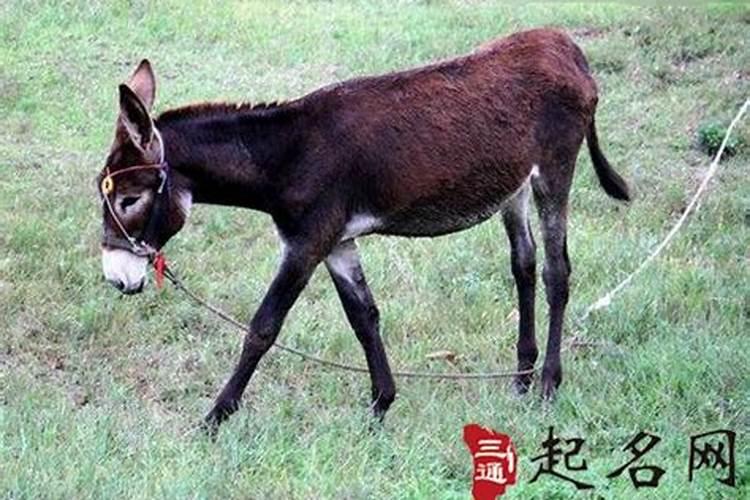 梦到暴雨山体滑坡