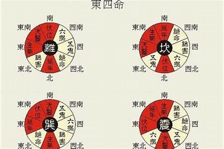 91年羊在2023年运势怎么样