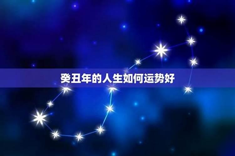 日伏夜行意怆惶指什么生肖