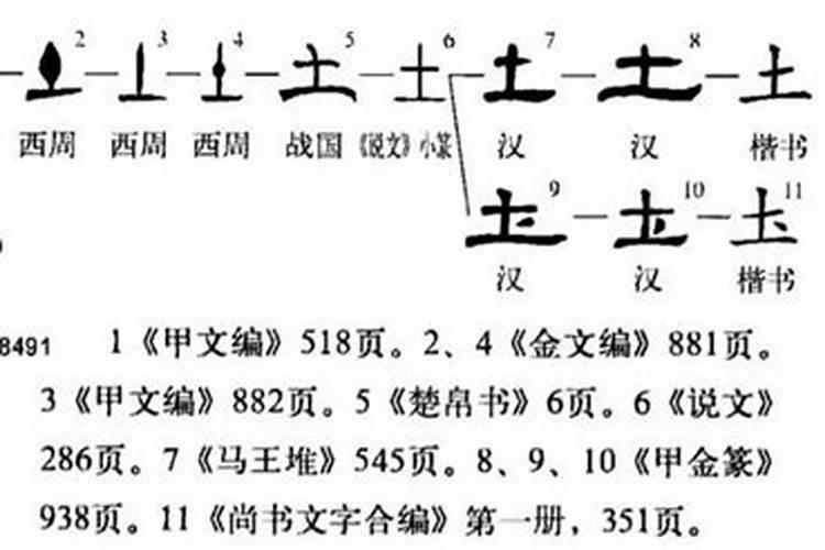 张字五行属什么