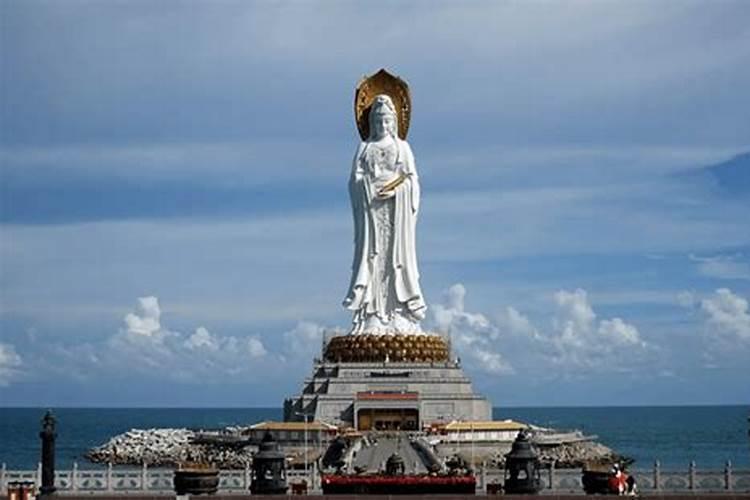 太岁浮在水面上是什么原因