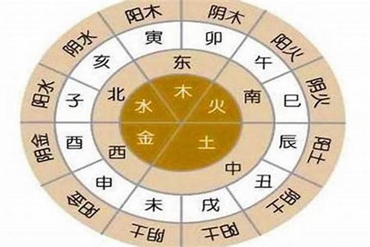 水瓶座的金星星座是什么星座