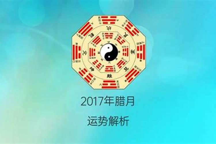 八七年的女兔今年运势