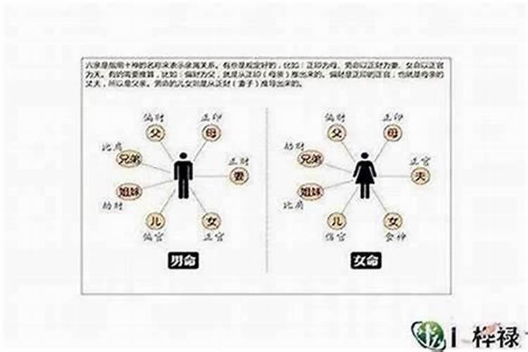 揭秘星座交际高手,这些星座的情商是如何高过常人的