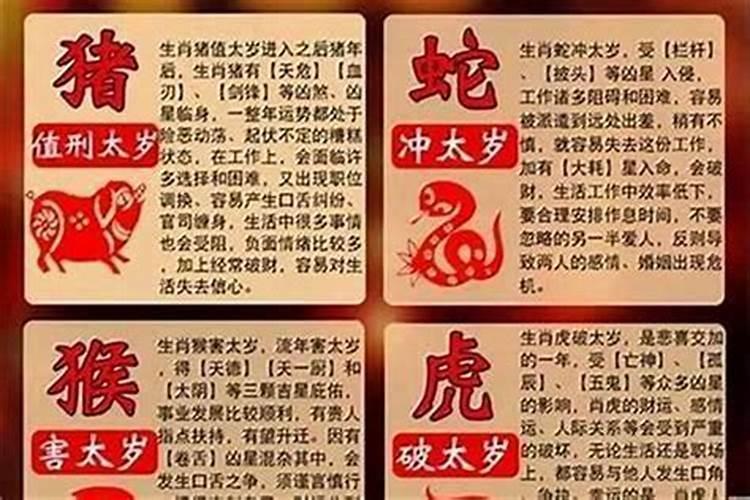 婚姻合不合看属相还是看八字马羊