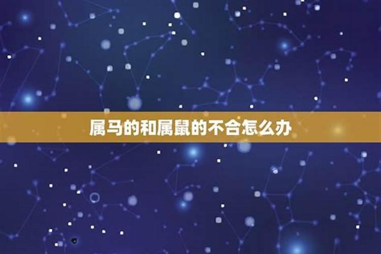 9月29日黄道吉日一览表