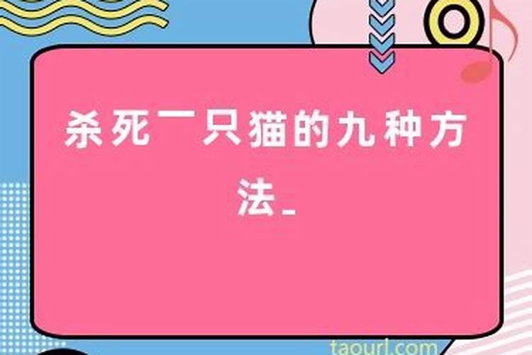 梦到捡鸡蛋鹅蛋鸭蛋是什么意思呢