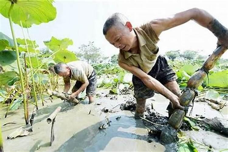 水瓶座彻底死心的表现