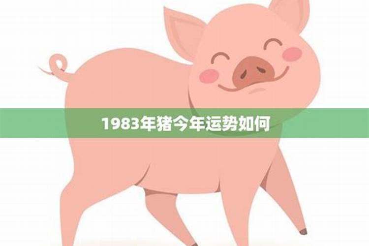 1983年的猪今年运势如何