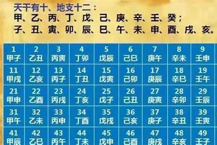 阳光明媚生肖正确答案