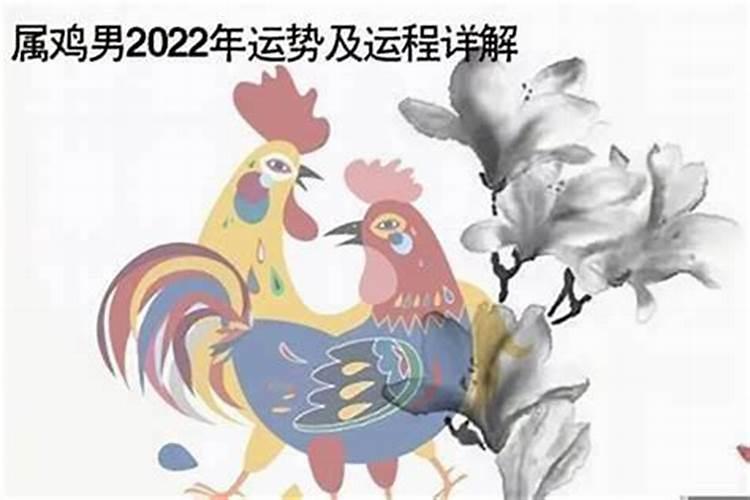 心地善良的五大星座是什么