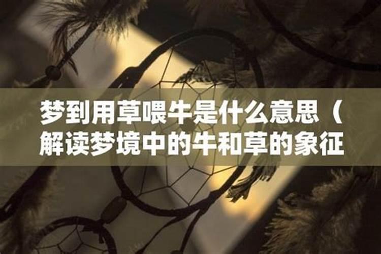 梦见牛是什么意思有什么预兆周公解梦