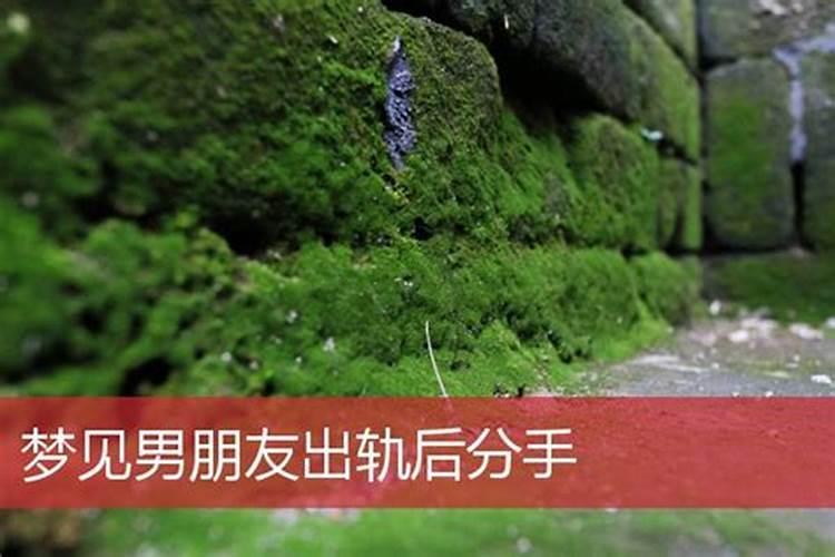 家里助学业的风水