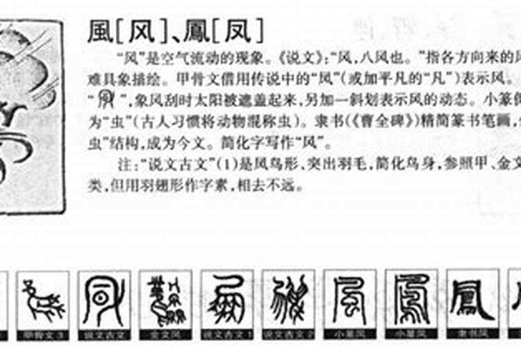 春字五行属什么