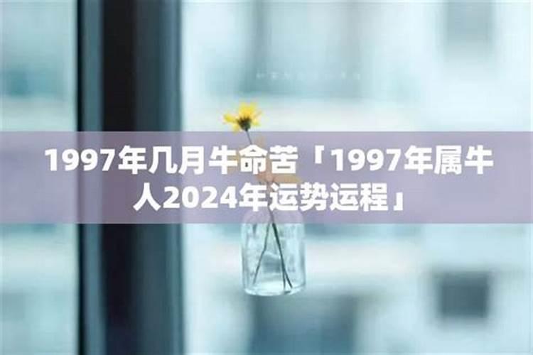 2021今年37岁属什么