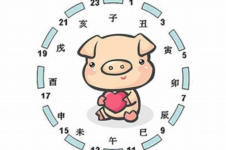 今年属兔46岁运气怎么样呀