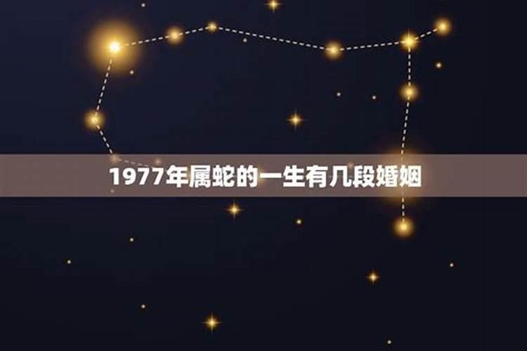 1999年8月初八是什么星座