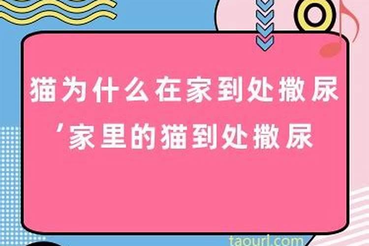 梦见买房子了是什么意思