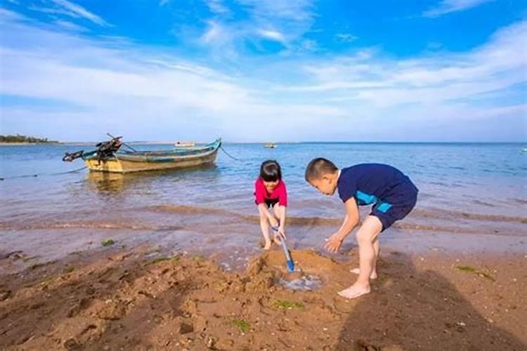 梦到去海边赶海抓鱼