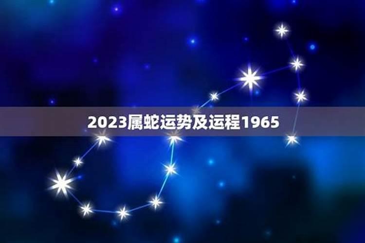 202116岁属什么生肖