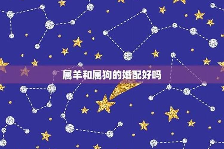 属猴人是啥星座啊