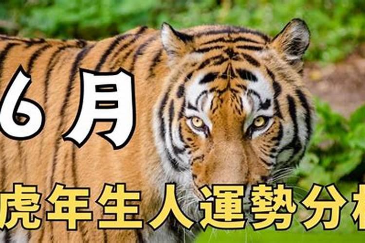 虎年生人在2022年运势如何