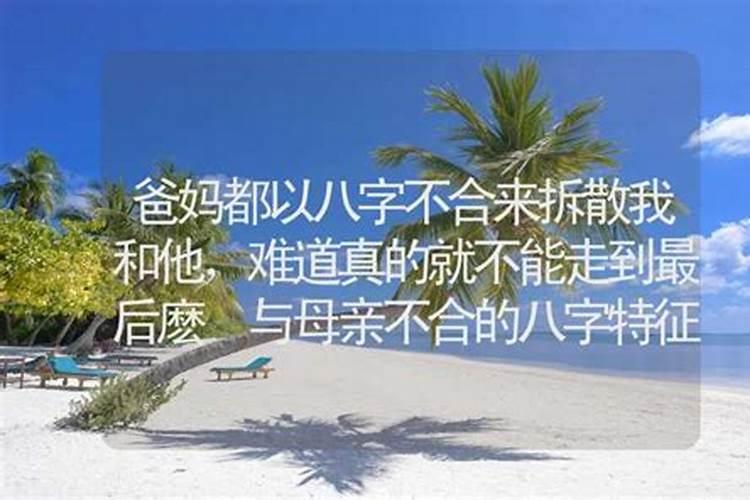 四象星座象征着什么意思