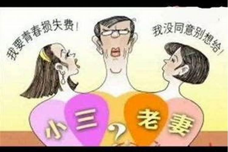 两个87年属兔的婚姻怎么样