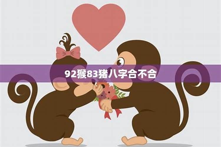 猴猪八字合婚特别合能结婚吗