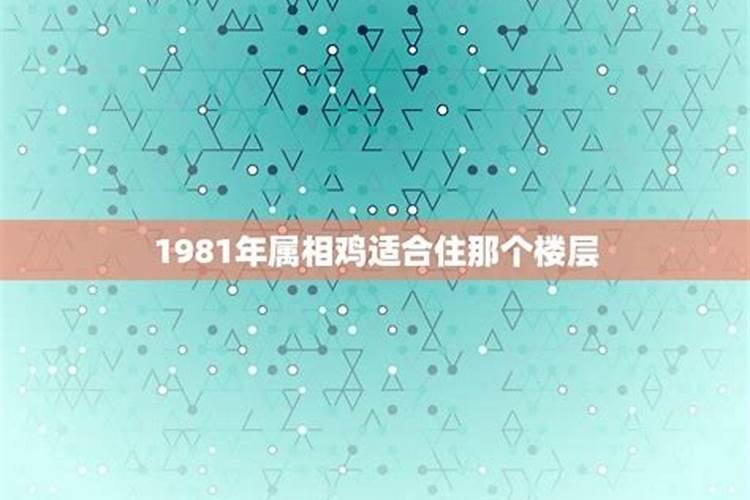 1981年属鸡的住几楼最好