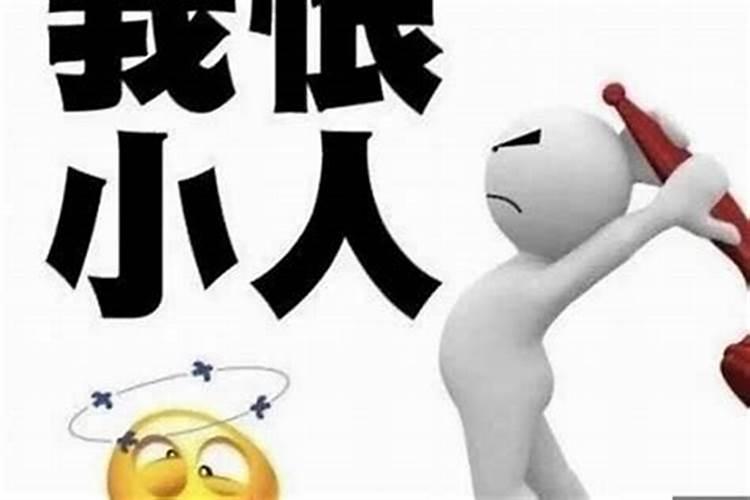 生肖的代表数字